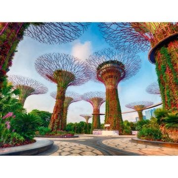Puzzle 1500 pièces Jardin de la baie de Singapour, dès 14 ans, Puzzle de qualité supérieure, Singapour, 12001396, Ravensburger
