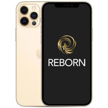 iPhone 12 Pro - Apple - 256Go - Or - 5G - Reconditionné Grade A