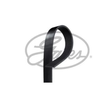 Courroie accessoire stretch fit GATES 4 stries longueur 865 mm 31,96