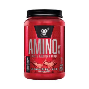 Amino X (1,01 kg) BSN Nutrition fruits punch