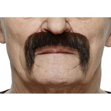 Moustache mexicaine noire grise