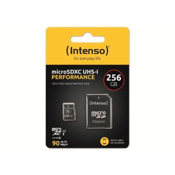 Carte microSD - INTENSO - Performance 256GB - Class 10 - Etanche