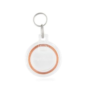 PetSafe - Clé de collier pour Chatière avec puce électronique, Elégant médaillon d'identification pour Chat non pucé - Transparent