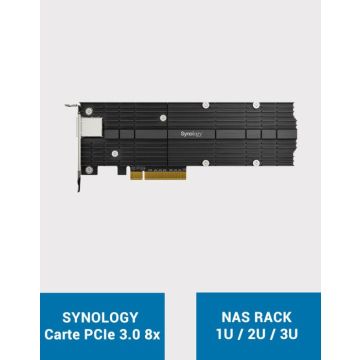Synology Carte Adaptateur combinée M.2 SSD et 10 GbE pour des Performances accélérées - E10M20-T1