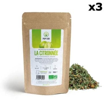 Lot de 3 Infusions Bio au Chanvre (25%) POP CBD "La Citronnée"