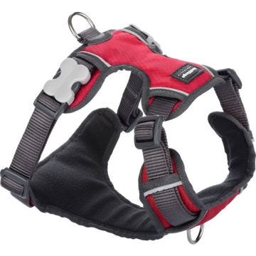 Harnais chien Red Dingo rembourré Rouge Taille : T3 - RED DINGO