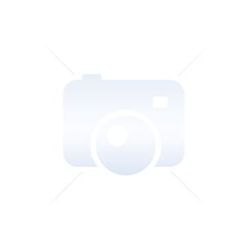 Papier ordinaire Brother BP60PA - A4 (210 x 297 mm) - 72.5 g/m2 pour imprimantes Brother DCP J525, J725, J925