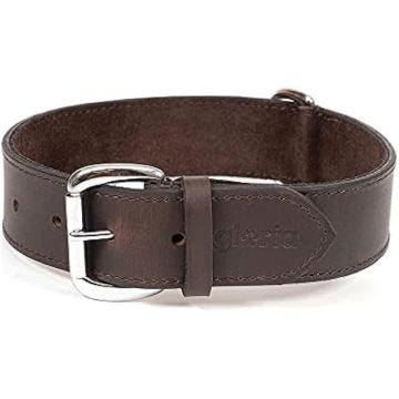 Collier pour chien en cuir brun lisse - GLORIA - Réglable - Boucle en métal - Anneau en forme de D