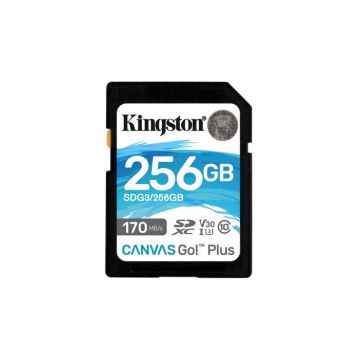 Kingston SDG3/256GB Carte mémoire SD Card (256GB SDXC Canvas Go Plus 170R C10 UHS-I U3 V30 )