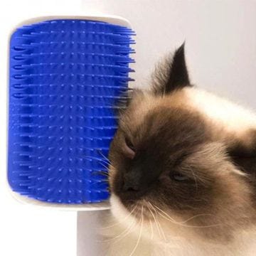 Brosse de toilettage - SHOP-STORY - Groomer - Bleu - Facile à installer - Pour chat