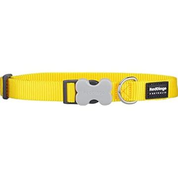 Collier pour Chien - RED DINGO - Lisse - Acétal Résistant - Anneau en D en Acier Inoxydable - Taille Moyenne