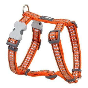Red Dingo - Harnais réfléchissant pour chien - Orange Unique