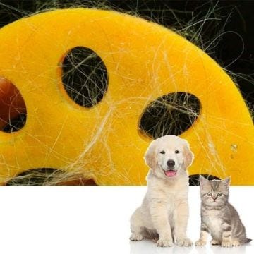 SHOP-STORY - MAGIC PAW : Attrape Poils Réutilisable pour Machine à Laver