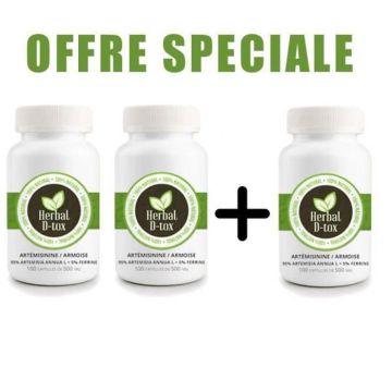 Capsules De Artémisinine / Armoise (Artemisia Annua L)95% + ferrine 5%, 300 X 600 Mg
