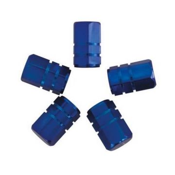 CARPOINT Jeu de 5 Capuchons de valves piston universel - Bleu