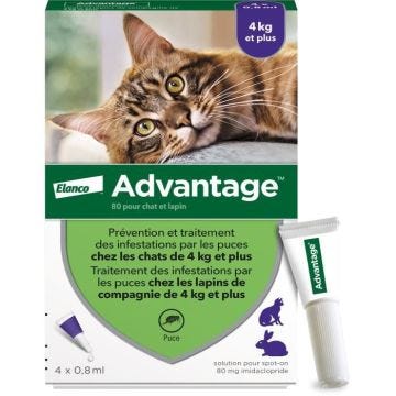 ADVANTAGE Solution Antipuce Chat Lapin +4kg 4 pipettes