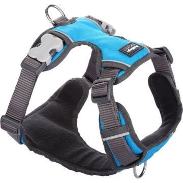 Harnais chien Red Dingo rembourré Turquoise Taille : T2 - RED DINGO