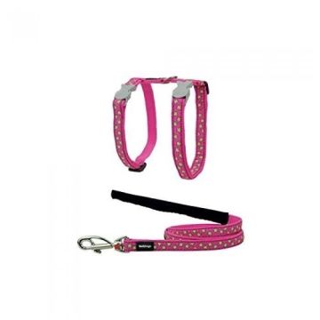 Laisse/Harnais pour Chat - RED DINGO - Rose Étoiles Vert - Tour de Cou 21-35 cm - Longueur 1,2 m