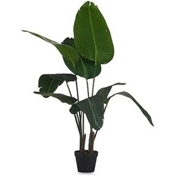 Plante - IBERGARDEN - Multicolore - Dimensions 100x100x120 cm - Standard - Référence S3611143
