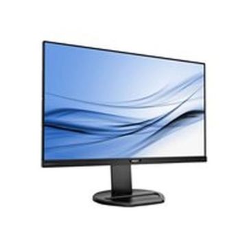 PHILIPS Ecran Ordinateur 252B9/00 25"