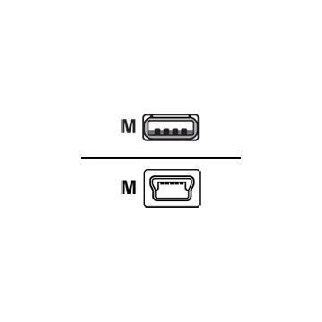 Cisco Câble USB USB à 4 broches, type A (M) mini USB type B (M) 1.83 m