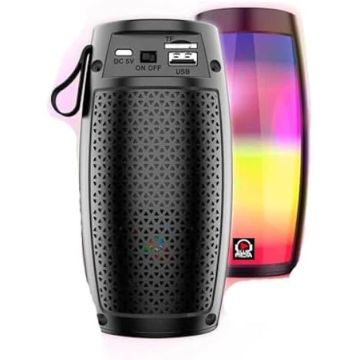 Haut-Parleur sans Fil - CLAUDIO REIG - SA16600 - Batterie 3,7 V/1200 mAh - Connectivité Sans Fil