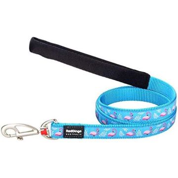Laisse pour Chien - RED DINGO - Flamant Rose Turquoise - 15 mm x 1,2 m - Nylon Résistant - Poignée Rembourrée
