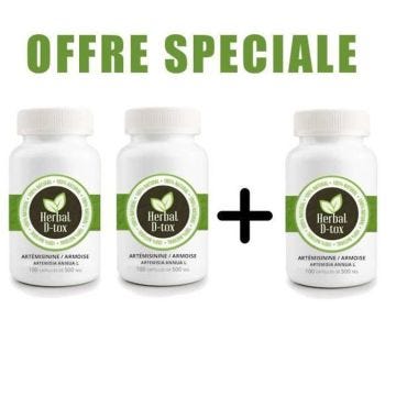 Artemisia Annua L (Artémisinine / Armoise) 100% - 300 x 500mg - 2 + 1 OFFERT