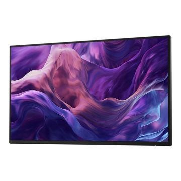 Dell 24 Monitor - P2425H without stand