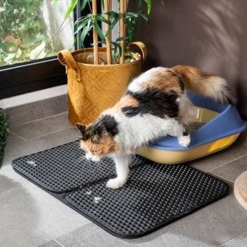 TAPIS DE LITIÈRE POUR CHAT CLIKATT INNOVAGOODS