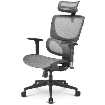 Chaise de bureau - OfficePal - C30M - Ergonomique - Accoudoirs 3D - Dossier réglable
