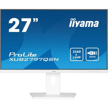 IIYAMA Nom : iiyama G-MASTER X