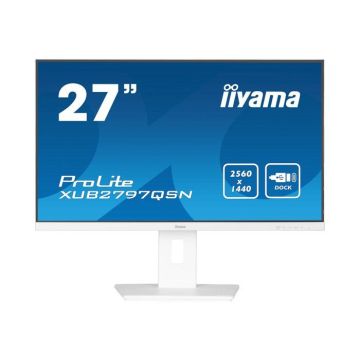 IIYAMA Nom : iiyama G-MASTER X