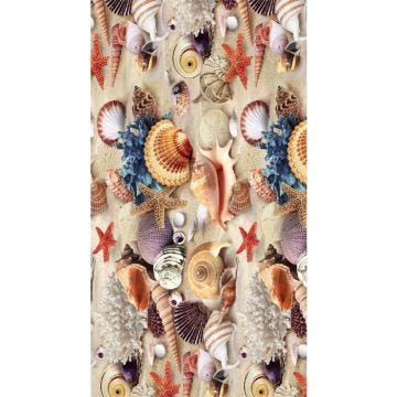 Tapis de bain COQUILLAGE Dimensions - 50x80