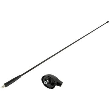 ACV 15-7657009 Antenne universelle pour autoradio
