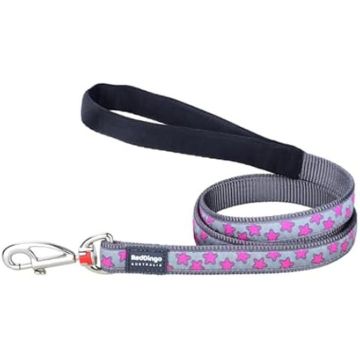 Laisse pour Chien - RED DINGO - Style Hot Pink on Cool Grey - 15 mm - 120 cm - Nylon