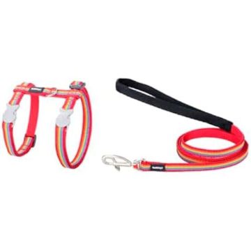 Harnais pour Chien - RED DINGO - Rainbow - Multicolore - 21-35 cm - Petit