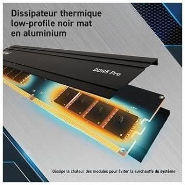 Mémoire RAM - CRUCIAL - PRO DDR5 - 24Go - DDR5-5600 - UDIMM CL46 (CP24G56C46U5)