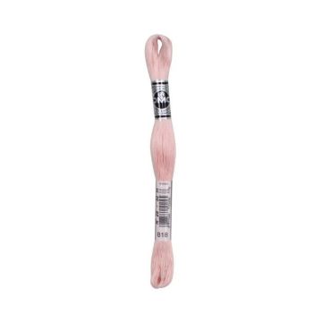 BRODER SPECIAL 1 ECH 20M 818