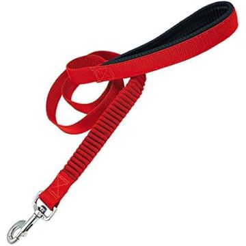 Sangle en nylon - GLORIA - Modèle anti-choc - 2,5 x 60 cm - Réduit les impacts - Pour chien