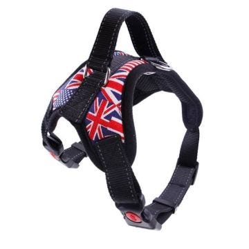 Harnais Chiens Domestiques Gilet Haute Qualité- Taille S Drapeau multicolore - Animaux Chien Laisse Colliers