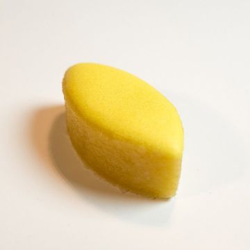 CALINOUS CITRON, 1.4K ROY RENE
