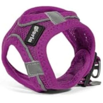 Harnais pour chien - GLORIA - Trek Star - Taille XXS - Couleur Violet - Dimensions 15,16x1,73x19,77 cm
