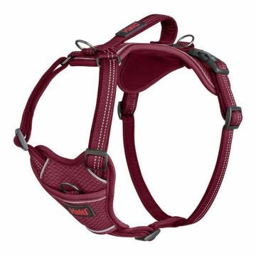 Harnais Anatomy Halti : Magenta - Taille XS - HALTI