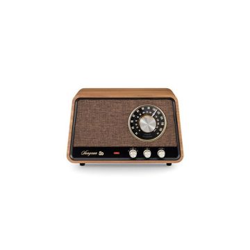 Enceinte Bluetooth - Sangean - WR-101 - Noyer - Sans fil - Amplificateur