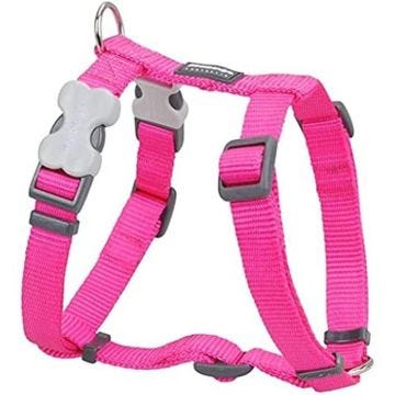 Harnais - RED DINGO - PETRAL lisse - Confort optimal - Sangle attachée - Finition de qualité supérieure